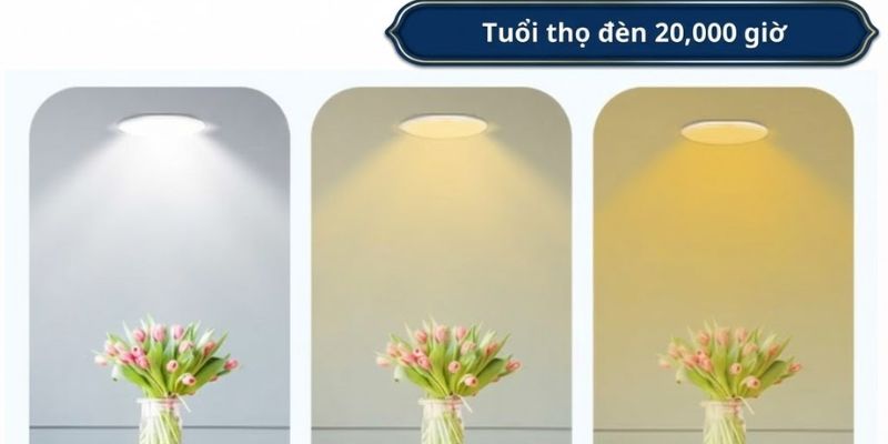 Ánh sáng dịu mắt, hiển thị màu sắc rõ nét